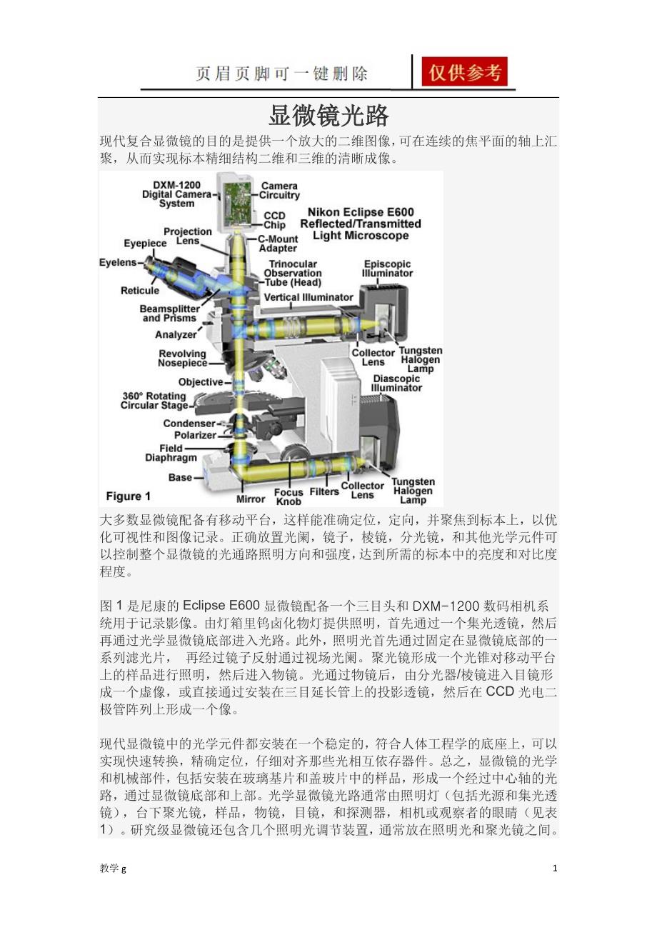 显微镜光路基础教育_第1页