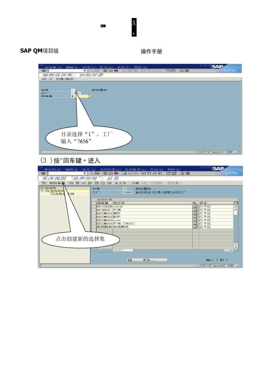 SAP QM操作使用说明_第5页