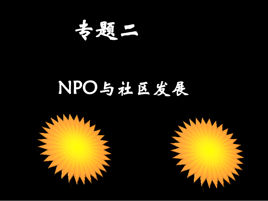《NPO与社区发展》PPT课件.ppt_第1页