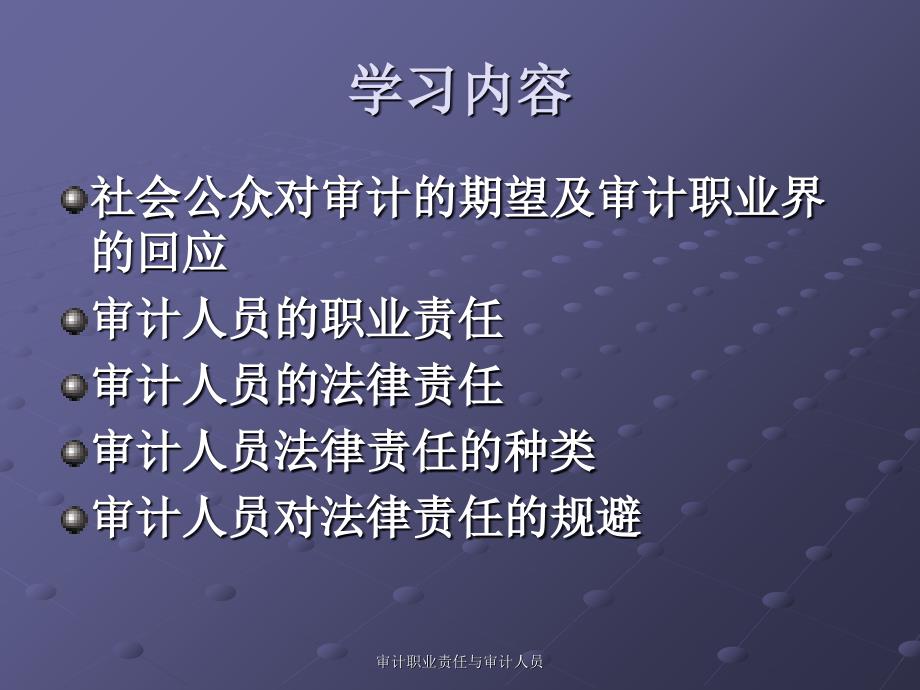 审计职业责任与审计人员课件_第2页