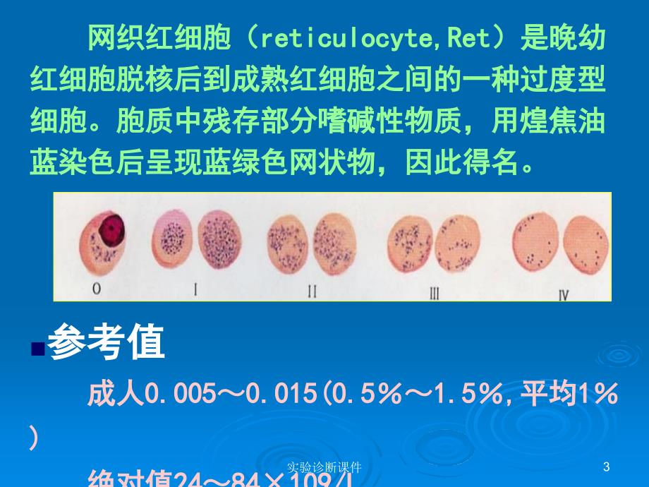 实验诊断课件_第3页