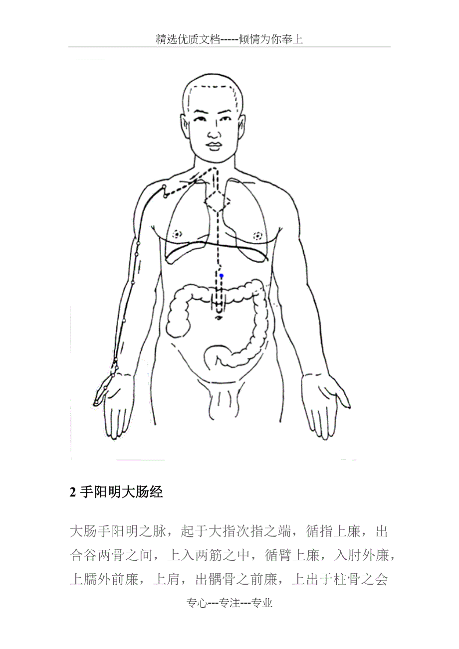 经典十二经脉循行动画图_第2页