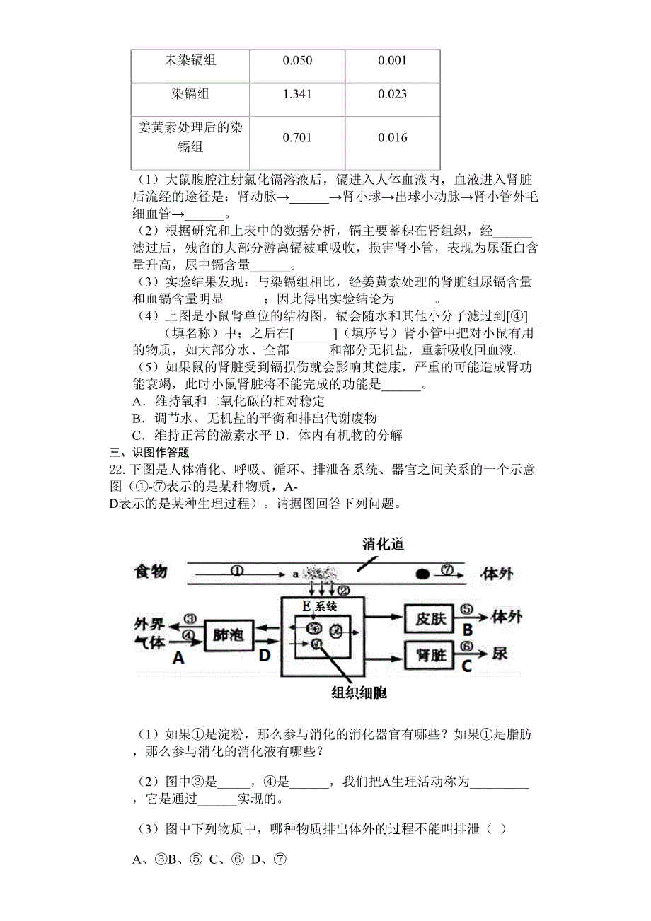 北师大版七年级生物下册第十一章人体代谢废物的排出测试试题(附答案)(DOC 6页)_第3页