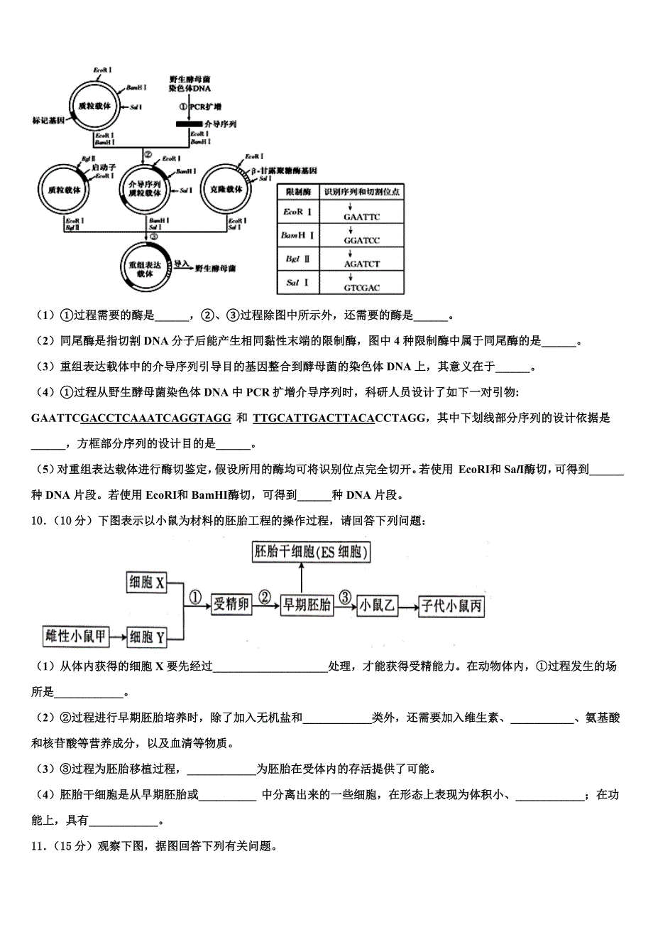 山西省怀仁县第一中学2023学年生物高二下期末学业水平测试试题（含解析）.doc_第4页