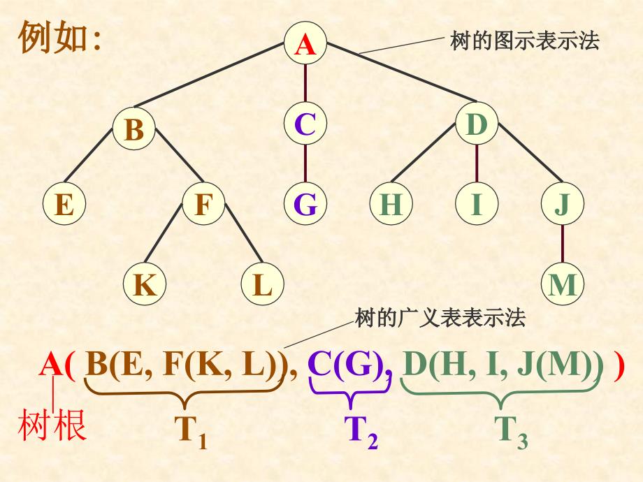 第六章树与二叉树_第5页