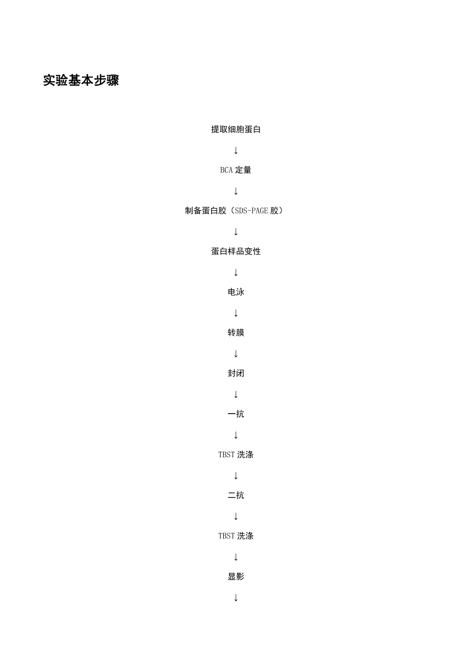 WB实验基本步骤_第1页