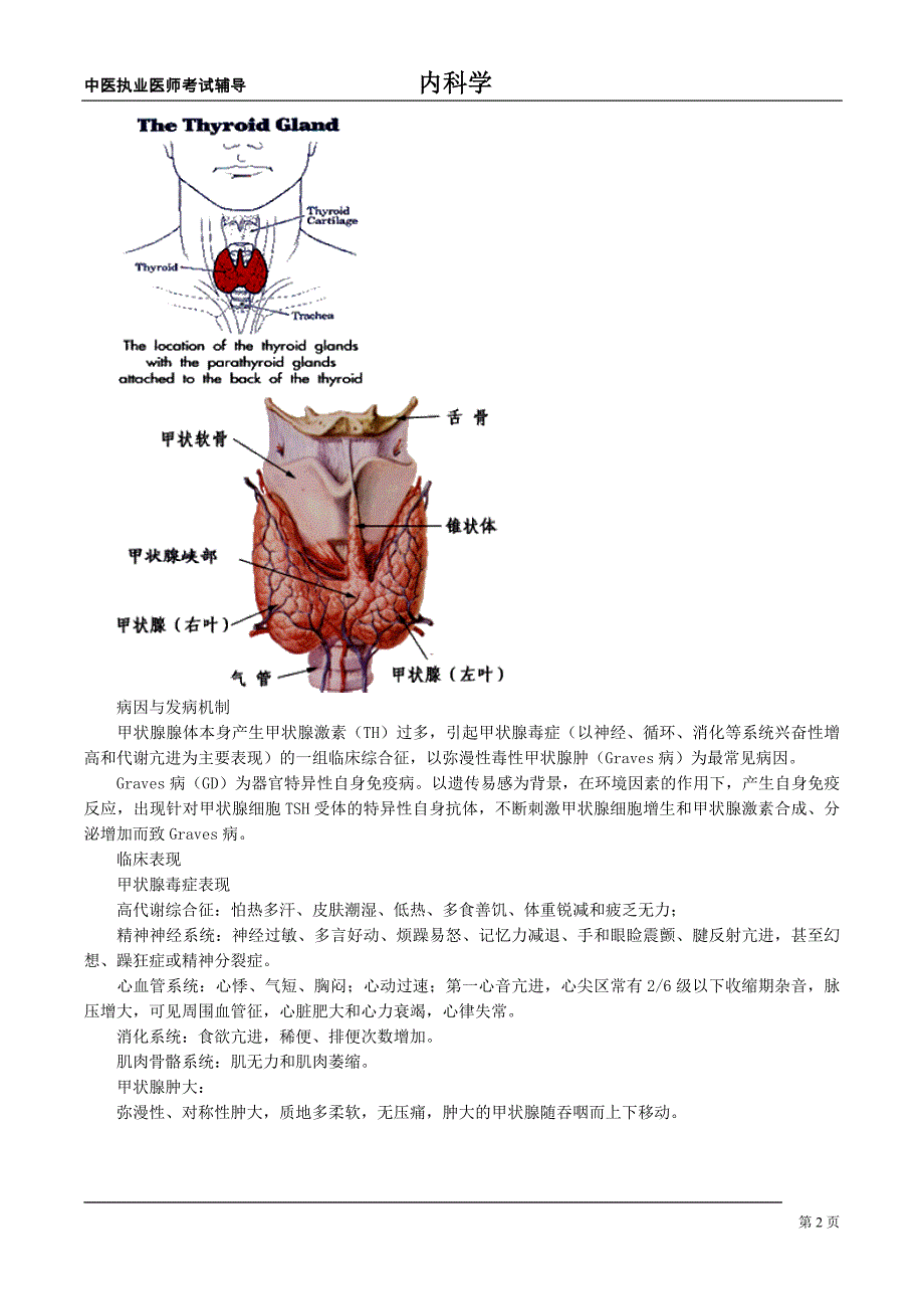 中医执业医师内科学讲义内分泌与代谢疾病_第2页