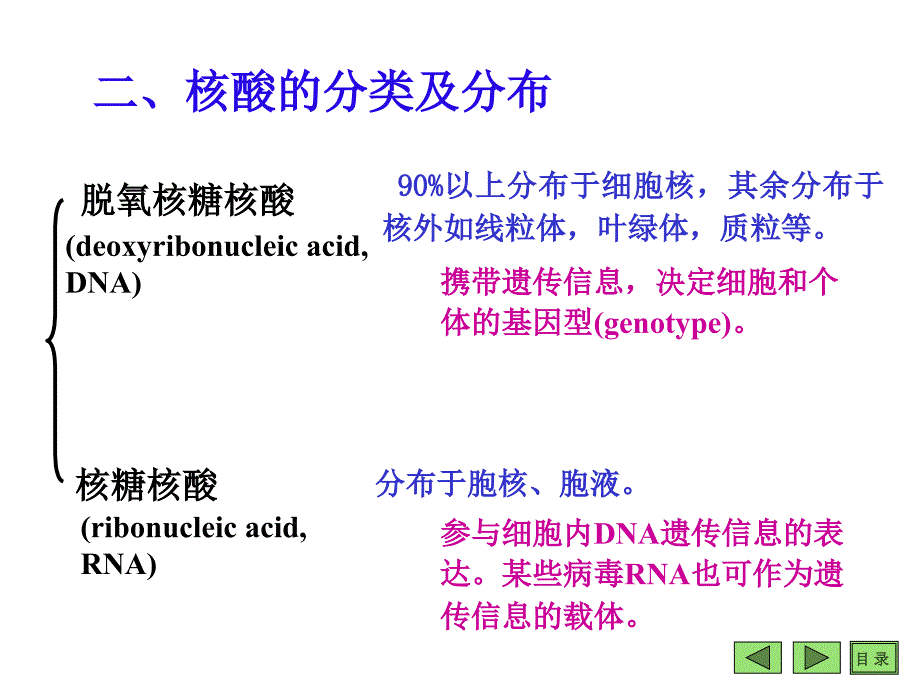 生物化学第二章核酸的结构和功能_第4页