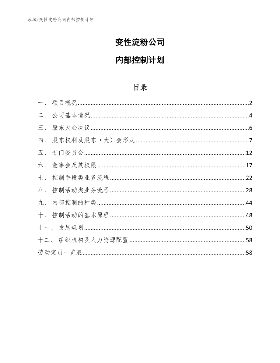 变性淀粉公司内部控制计划（参考）_第1页