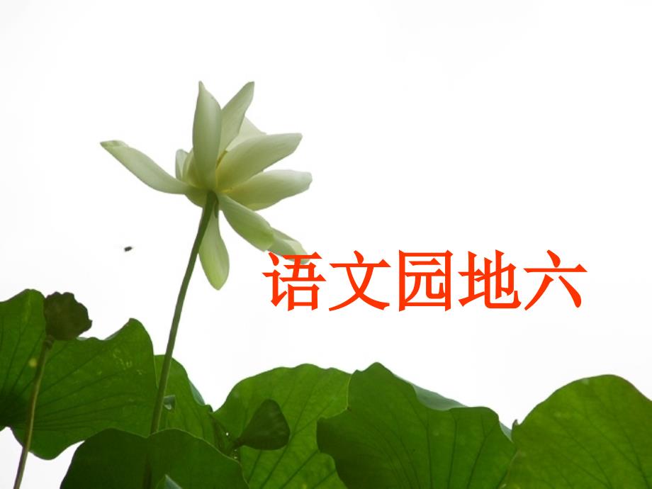 人教版三年级语文上册语文园地六_第1页