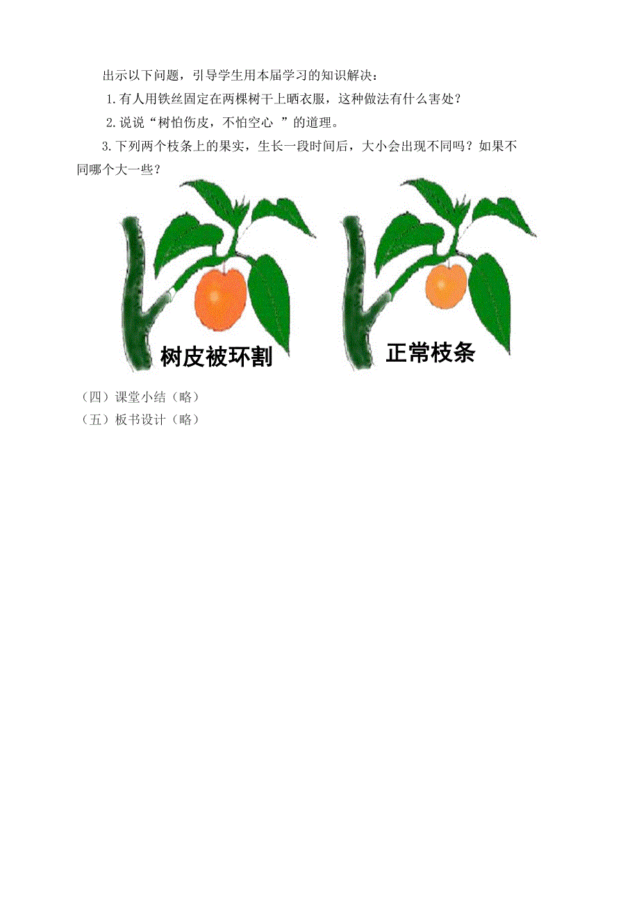第四节 植物茎的输导功能2_第3页