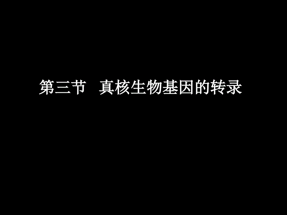 真核生物基因的转录课件_第1页
