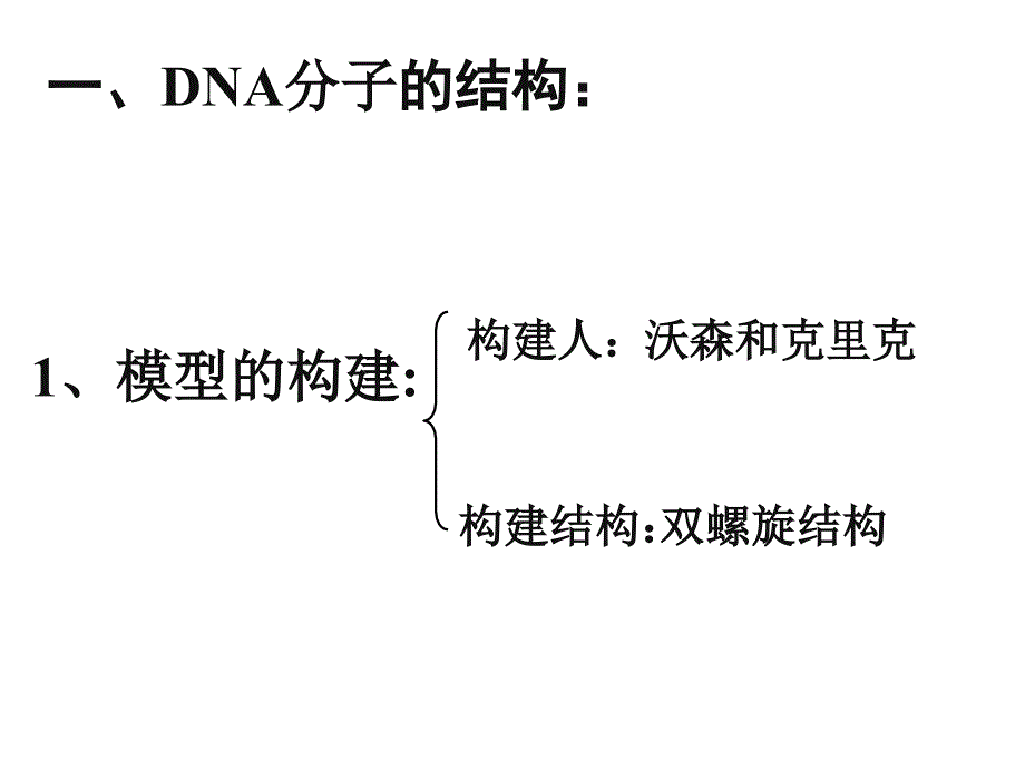 DNA分子的结构和复制公开课_第2页