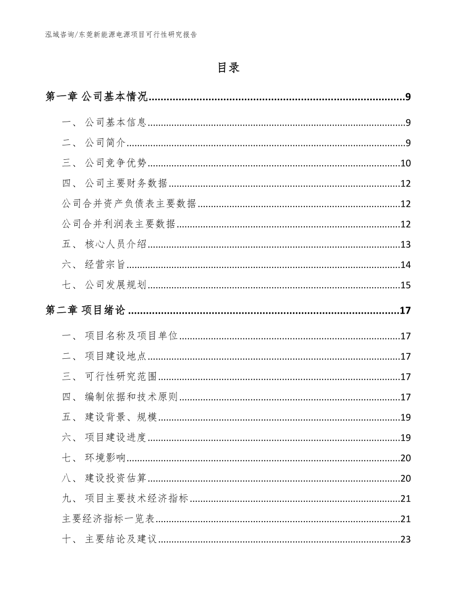 东莞新能源电源项目可行性研究报告模板_第2页