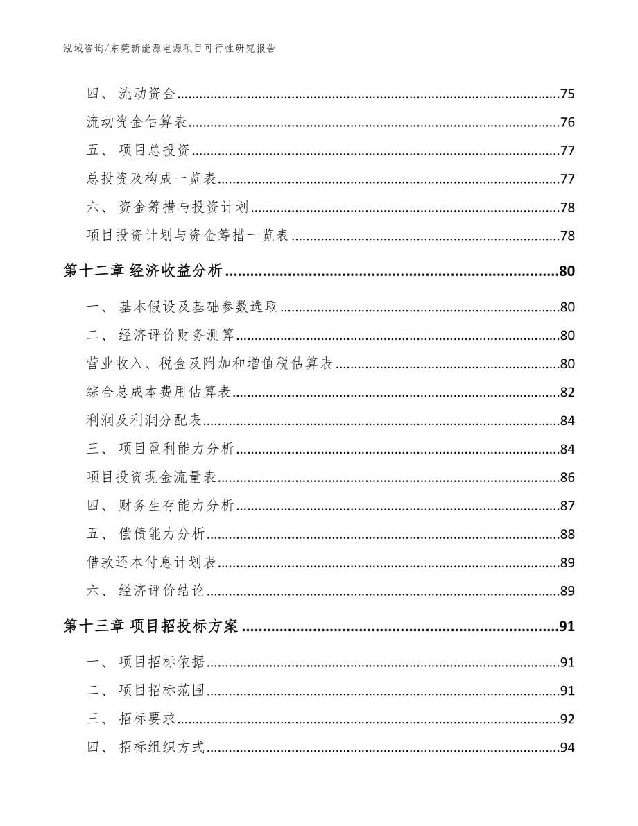 东莞新能源电源项目可行性研究报告模板_第5页