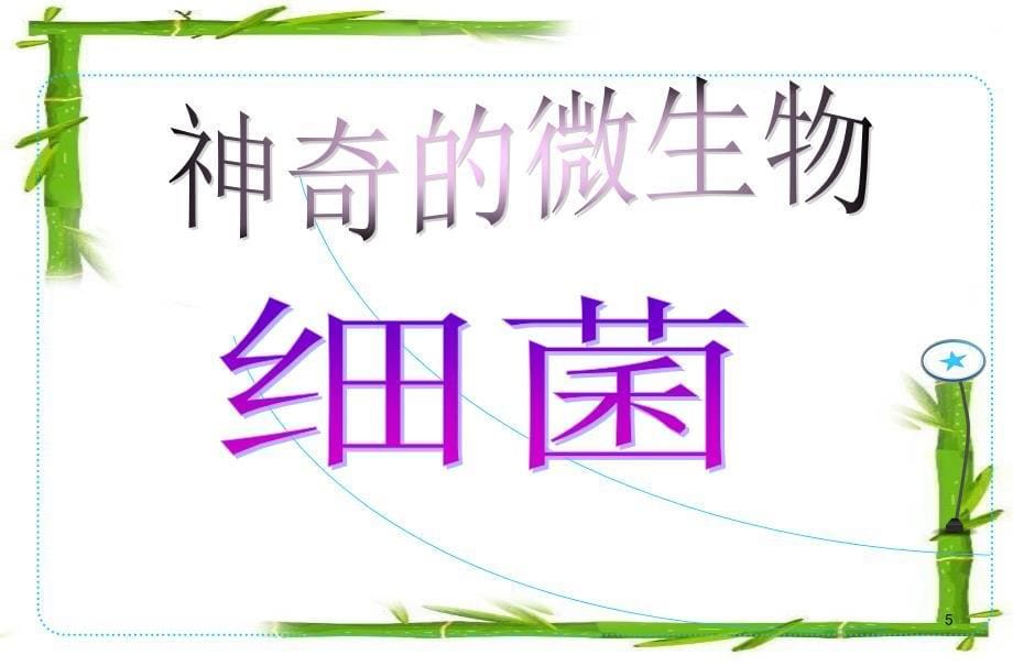 新人教版初二八年级生物上册新人教版初二八年级生物上册5精品中学4.2细菌ppt课件_第5页