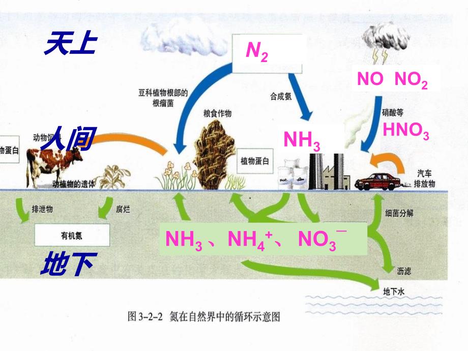 氮的循环PPT课件_第3页