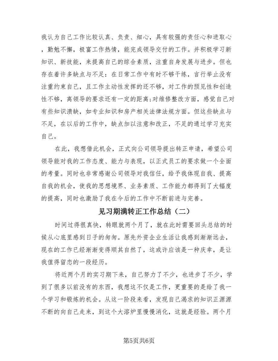 见习期满转正工作总结（2篇）.doc_第5页