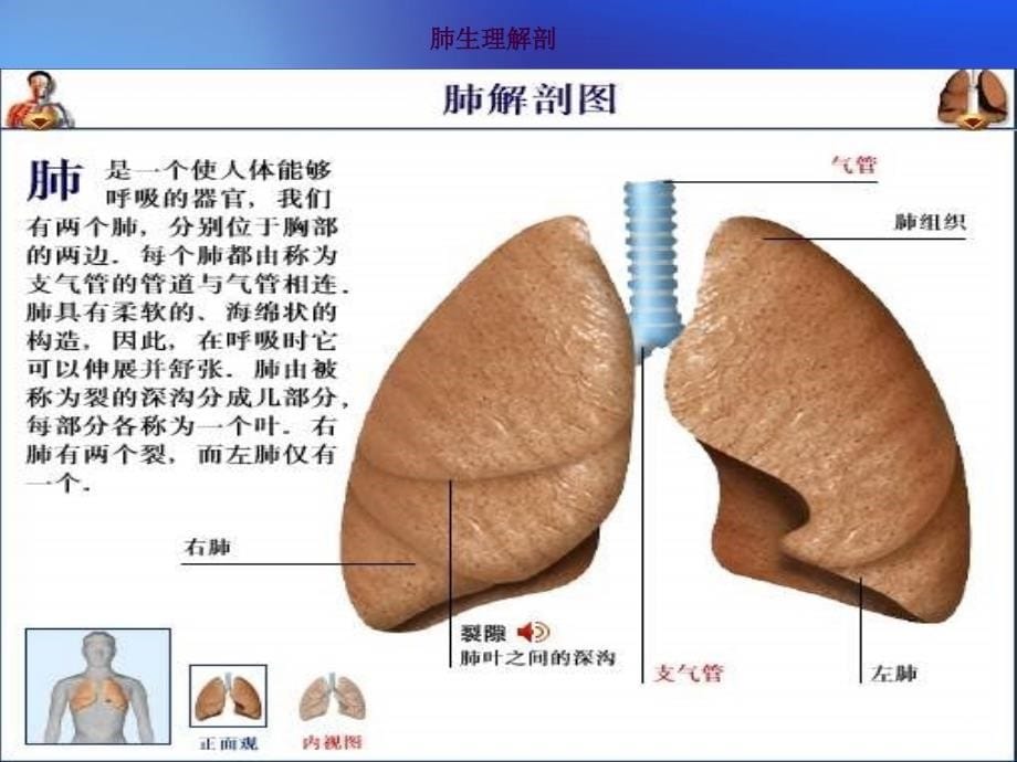 肺癌放疗的护理ppt课件_第5页