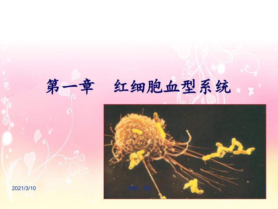 2.1红细胞血型免疫学基础参考_第1页