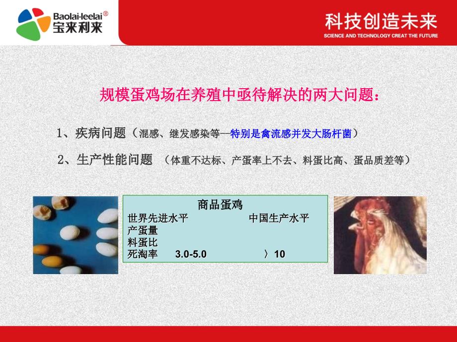 蛋鸡高效生态养殖技术张雪琴ppt课件_第4页