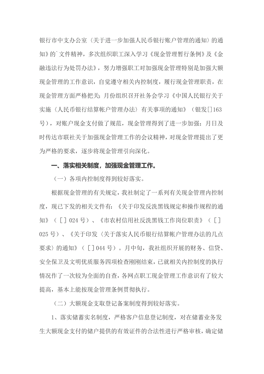 2022年资金管理自查报告_第3页