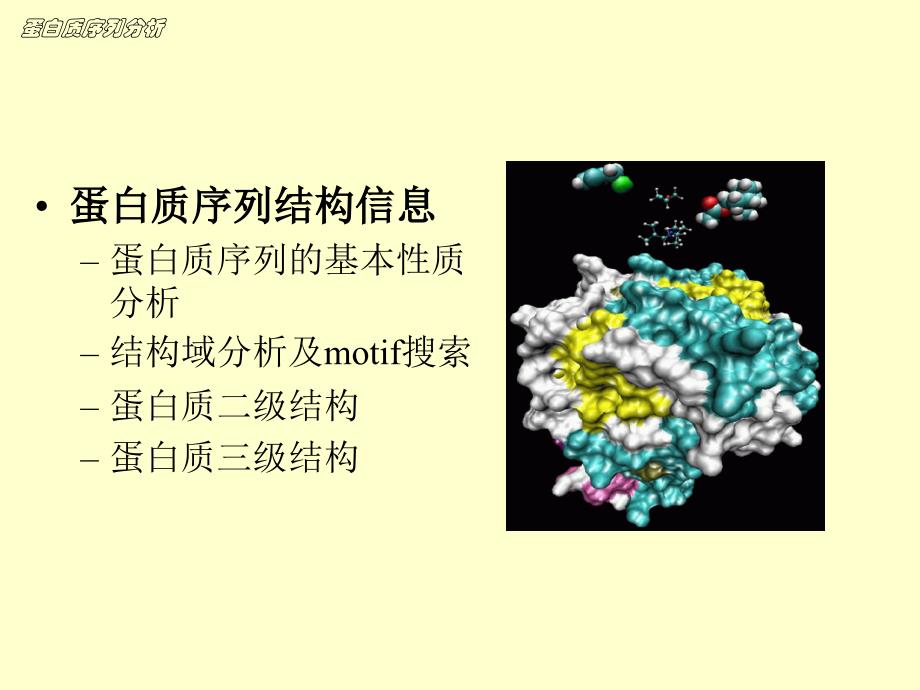 《蛋白质序列分析》PPT课件_第2页