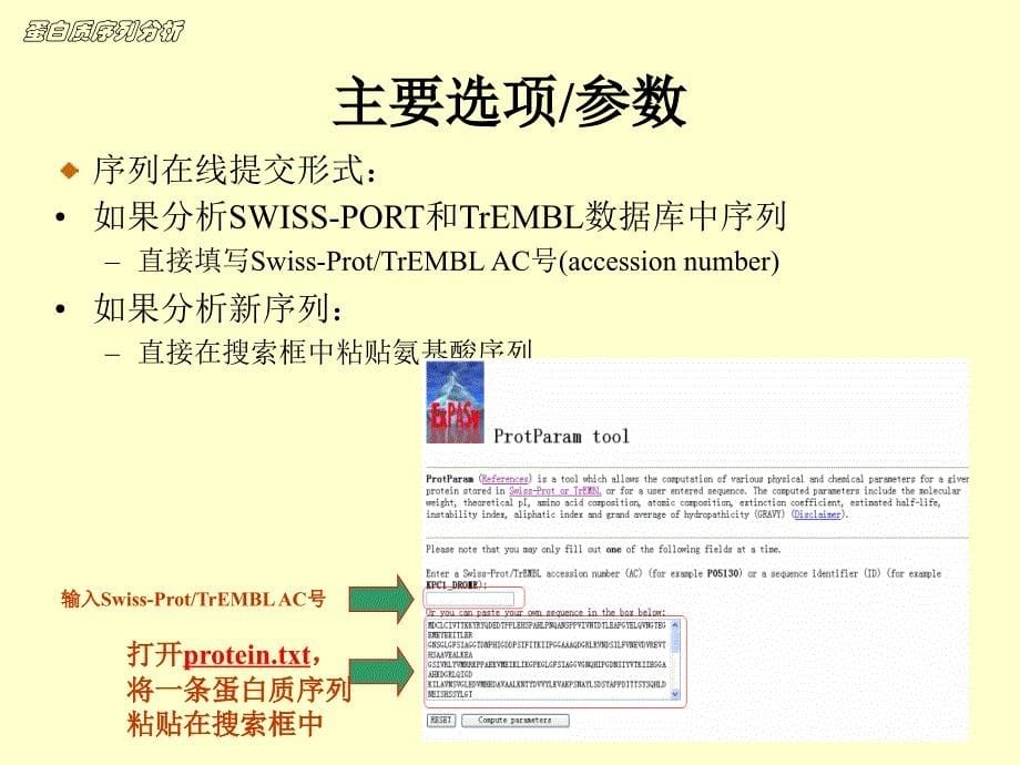 《蛋白质序列分析》PPT课件_第5页