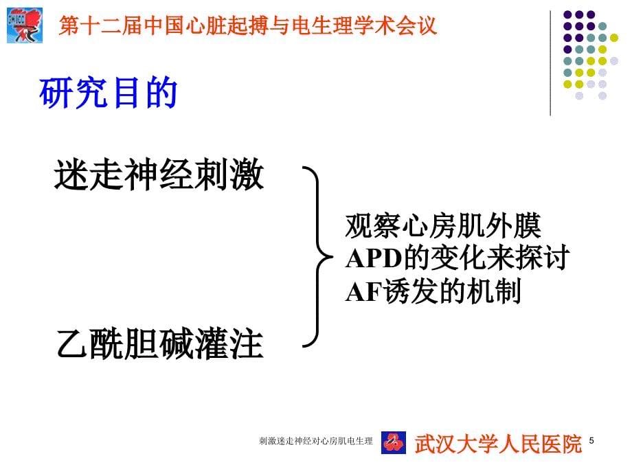 刺激迷走神经对心房肌电生理课件_第5页