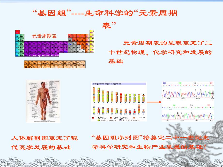 基因组测序的原理与方法_第2页