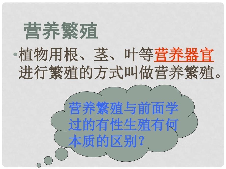 山东省兖州市漕河镇中心中学八年级生物上册《植物的无性生殖》课件 济南版_第5页