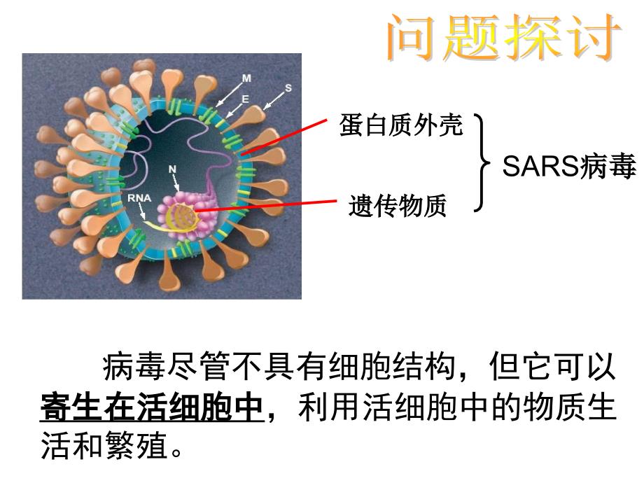 第一部分走近细胞第一部分从生物圈到细胞教学课件名师编辑PPT课件_第3页