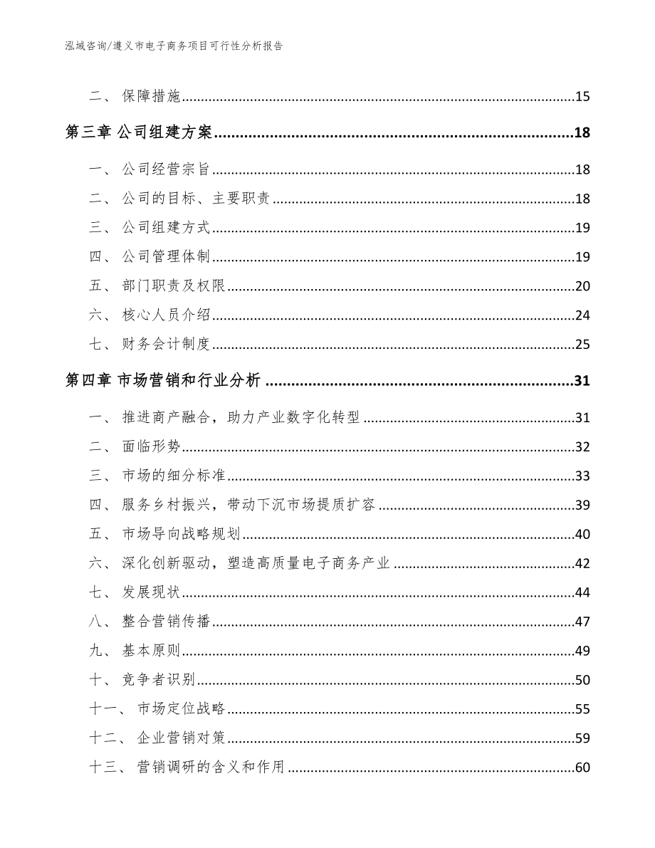 遵义市电子商务项目可行性分析报告（参考模板）_第3页