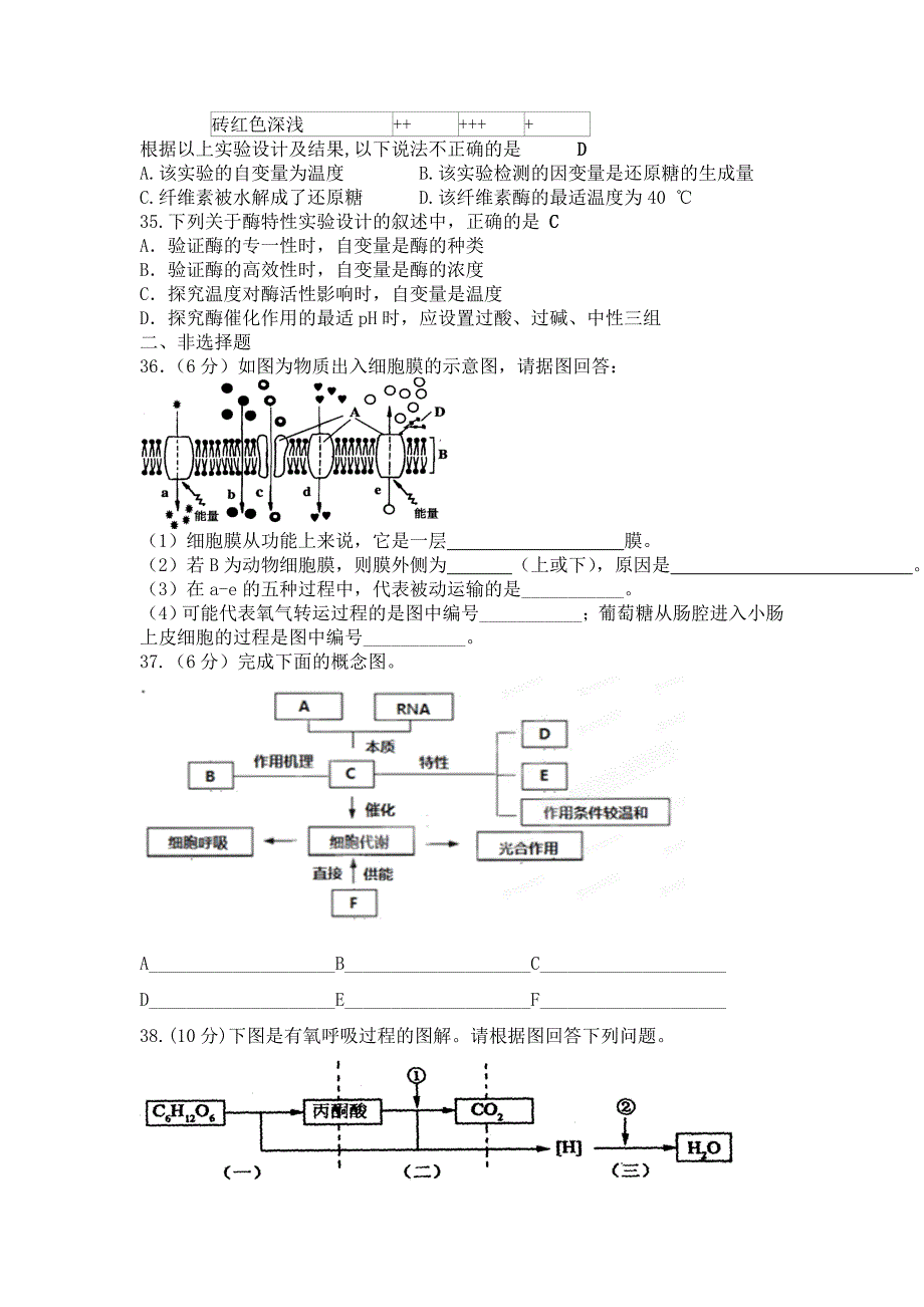 必修一生物月考题.doc_第4页