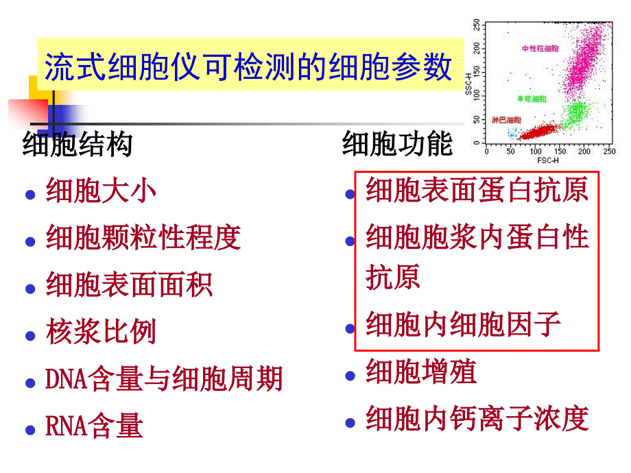 流式细胞术免疫标记简介.ppt_第3页