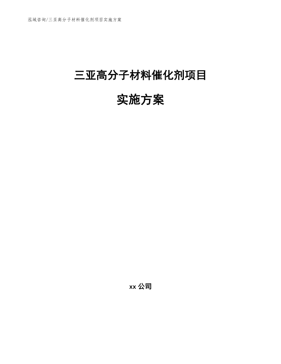 三亚高分子材料催化剂项目实施方案_模板_第1页