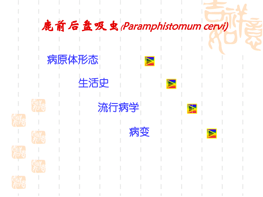 吸虫病前后盘吸虫PPT课件_第3页