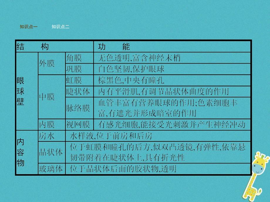 七年级生物下册 3.5.4人体对周围世界的感知 （新版）济南版_第3页