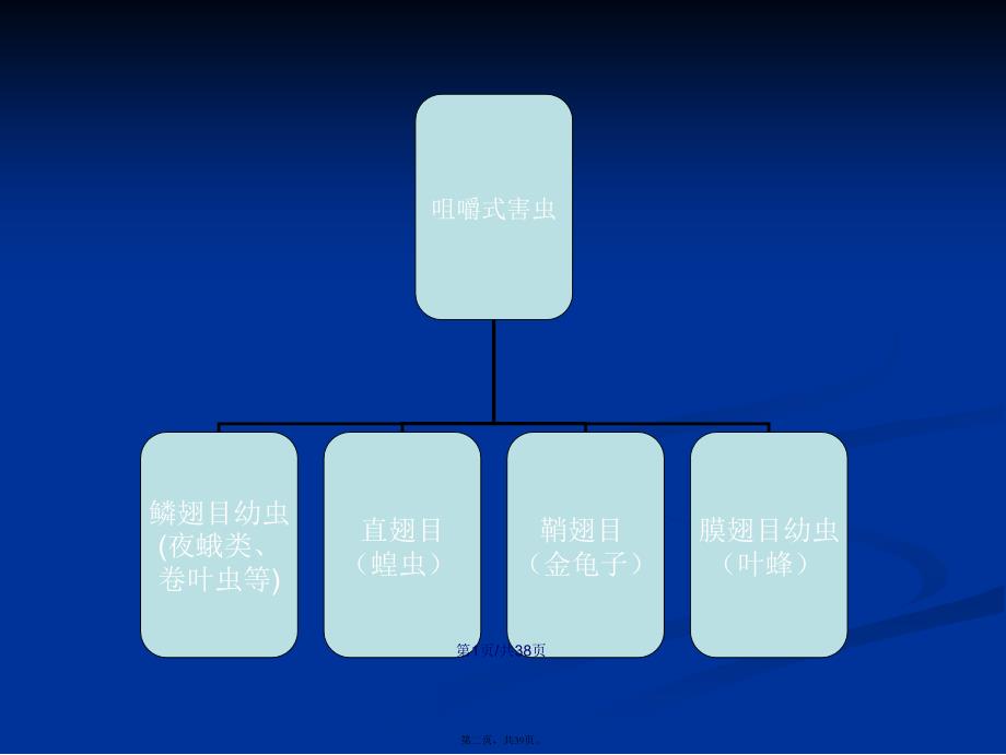 咀嚼式口器害虫学习教案_第2页