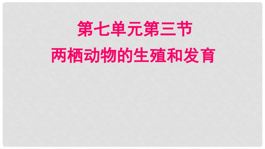 海南省省八年级生物下册 第七单元 第一章 第三节 两栖动物的生殖和发育教学课件 新人教版_第1页