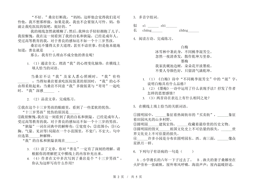 小升初精选综合复习小升初小学语文小升初模拟试卷C卷.docx_第2页