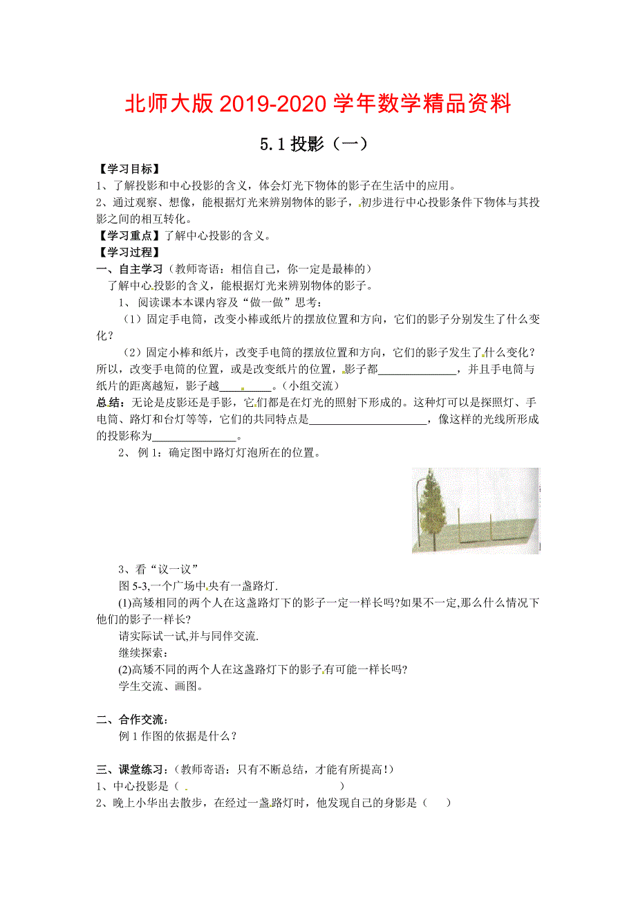 北师大版九年级数学上5.1投影1学案_第1页