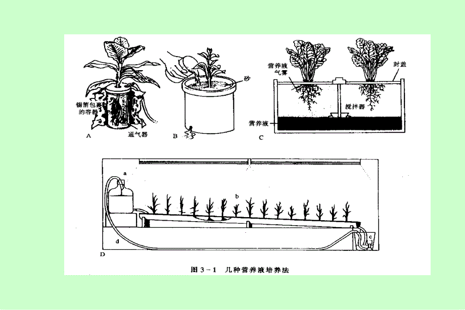 医学专题：AA第二章植物的矿质营养精讲_第4页