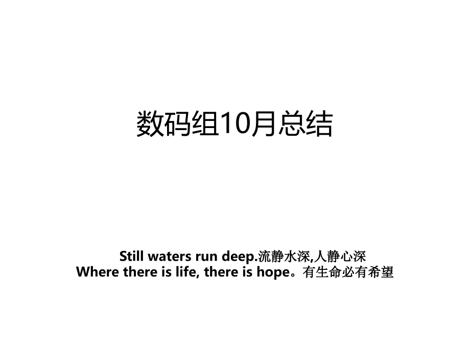 数码组10月总结_第1页