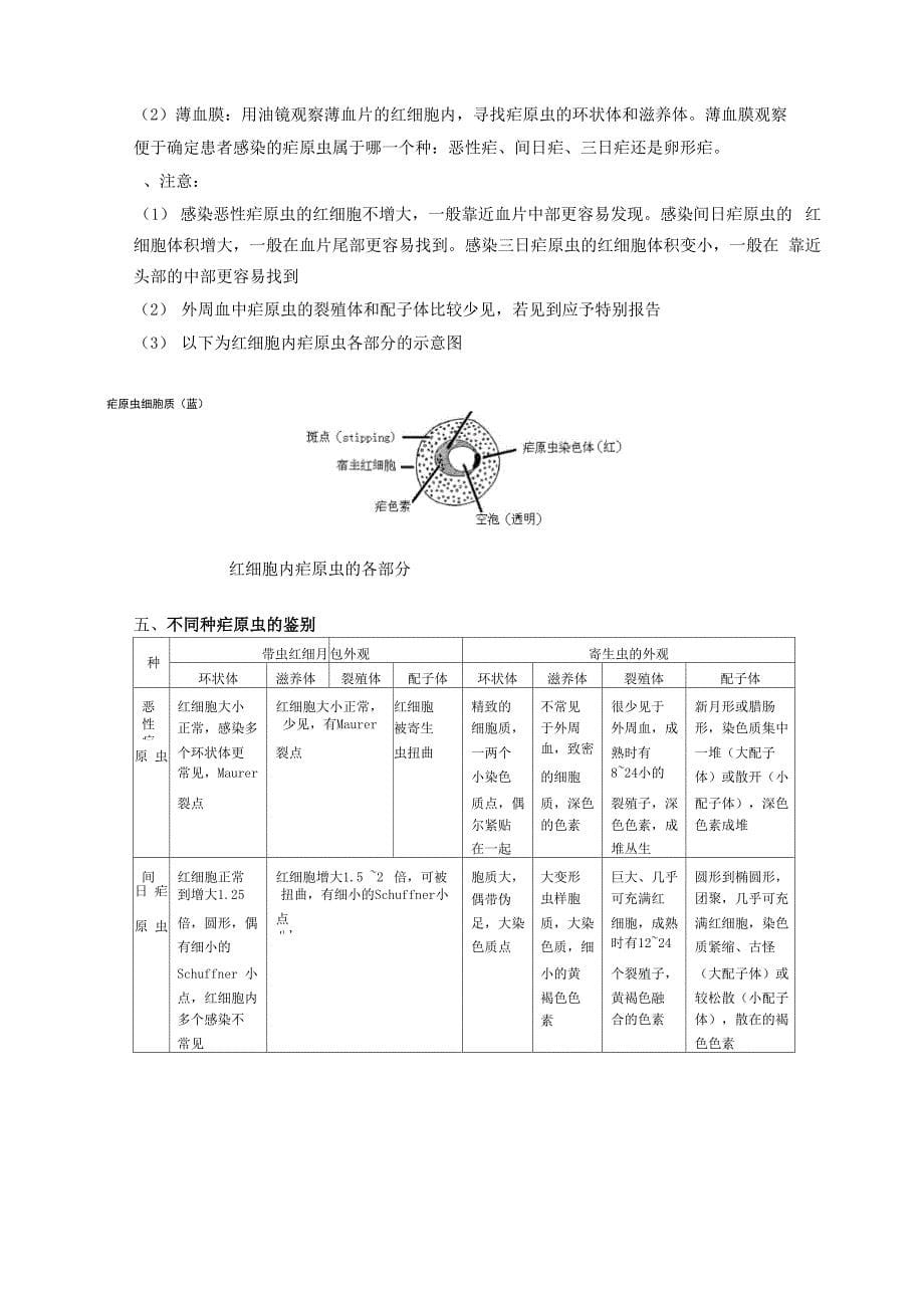 11疟原虫的显微镜检查_第5页