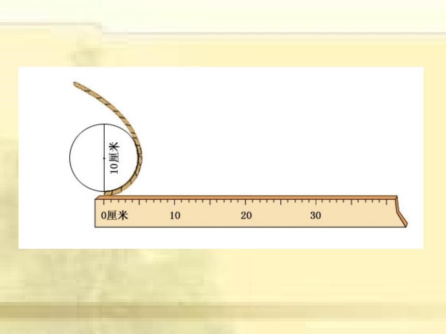 六年级数学上册4圆2圆的周长课件_第5页