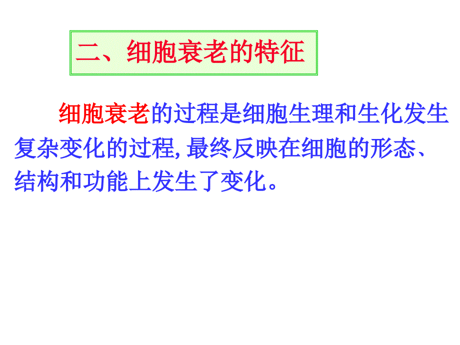 3_《细胞的衰老和凋亡》课件（新人教版必修1）（精品推荐）_第4页