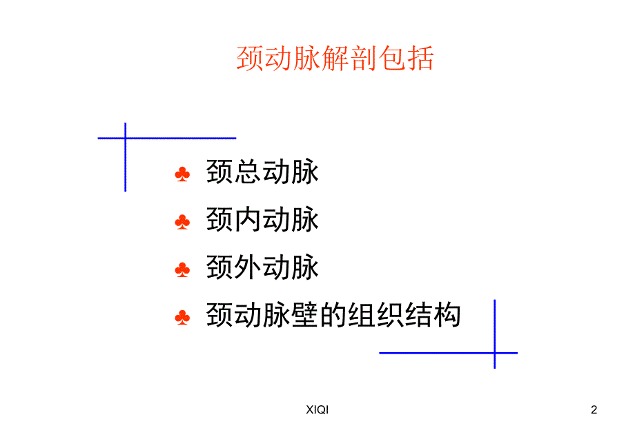 颈动脉的应用解剖_第2页