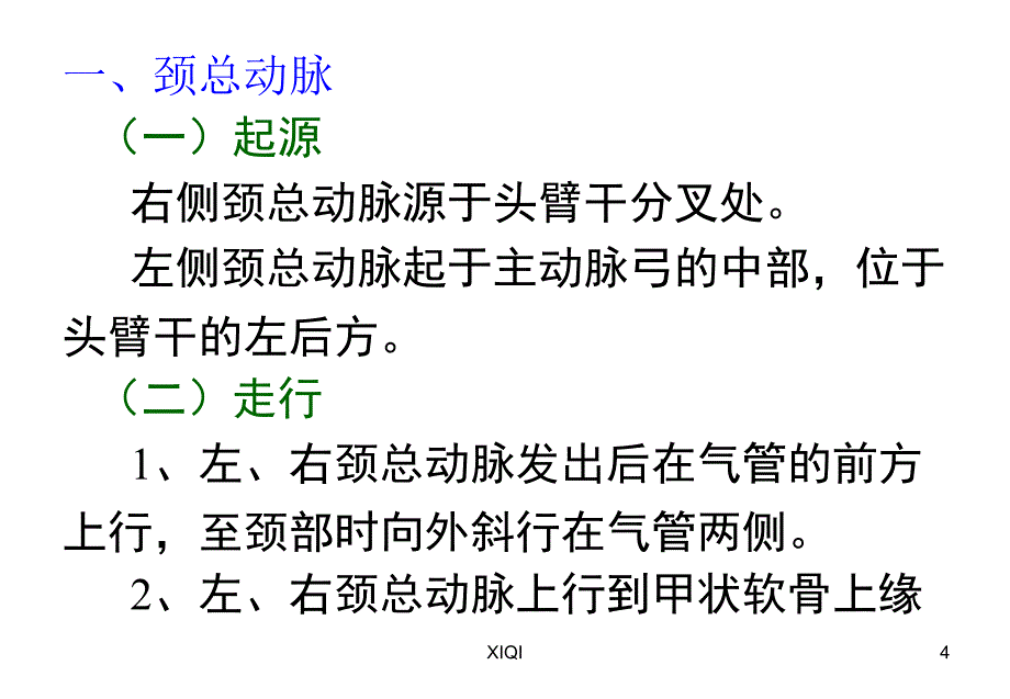 颈动脉的应用解剖_第4页