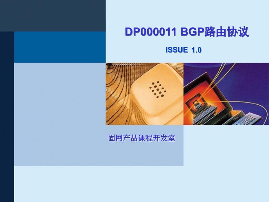 DP000011 BGP路由协议ISSUE10_第1页